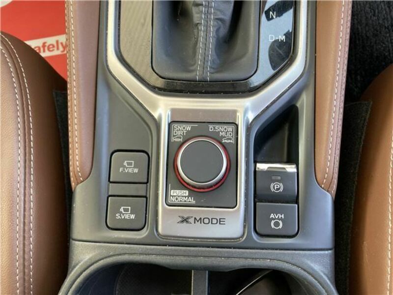 FORESTER-23