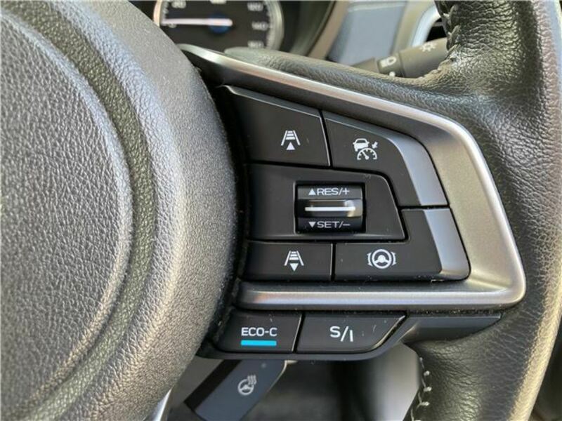 FORESTER-26