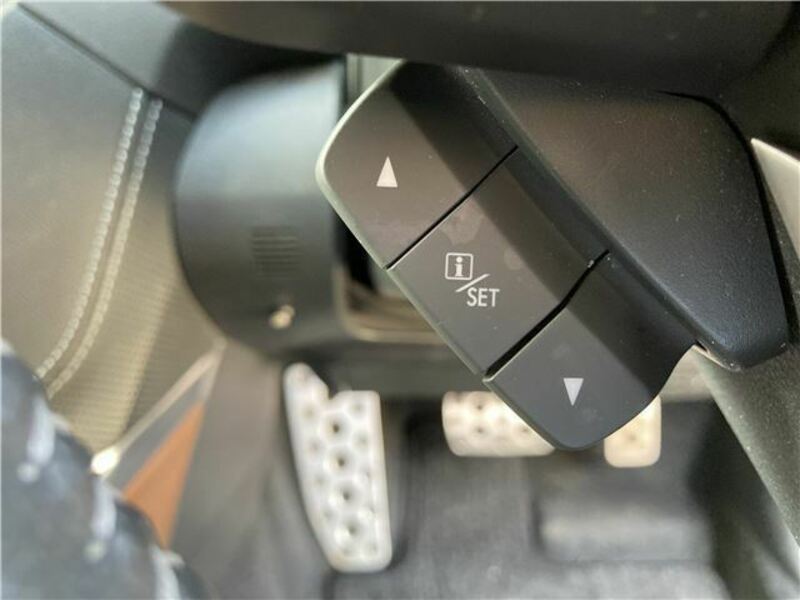 FORESTER-30