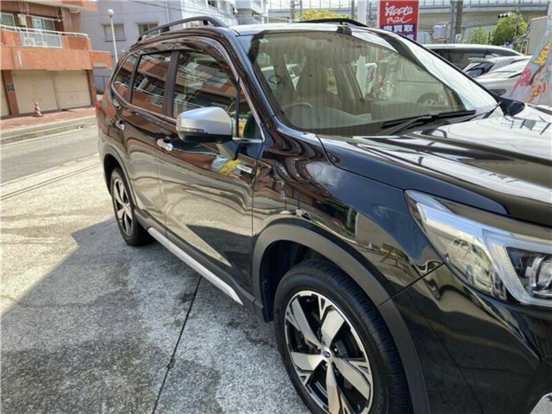 FORESTER-33