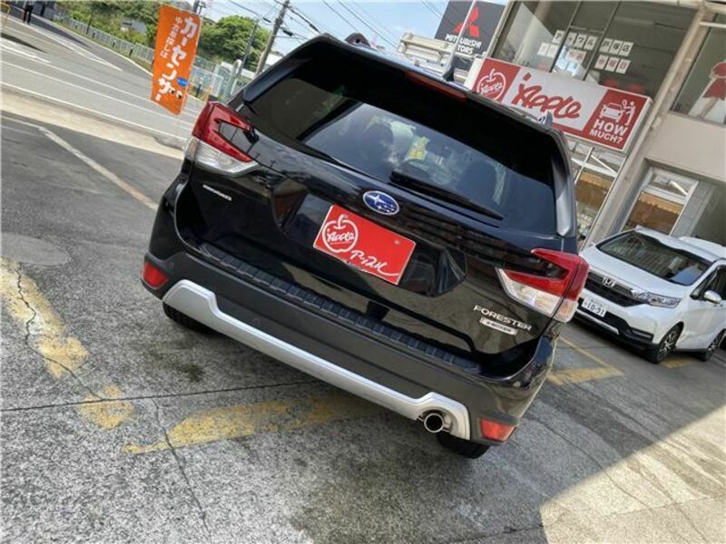 FORESTER-34