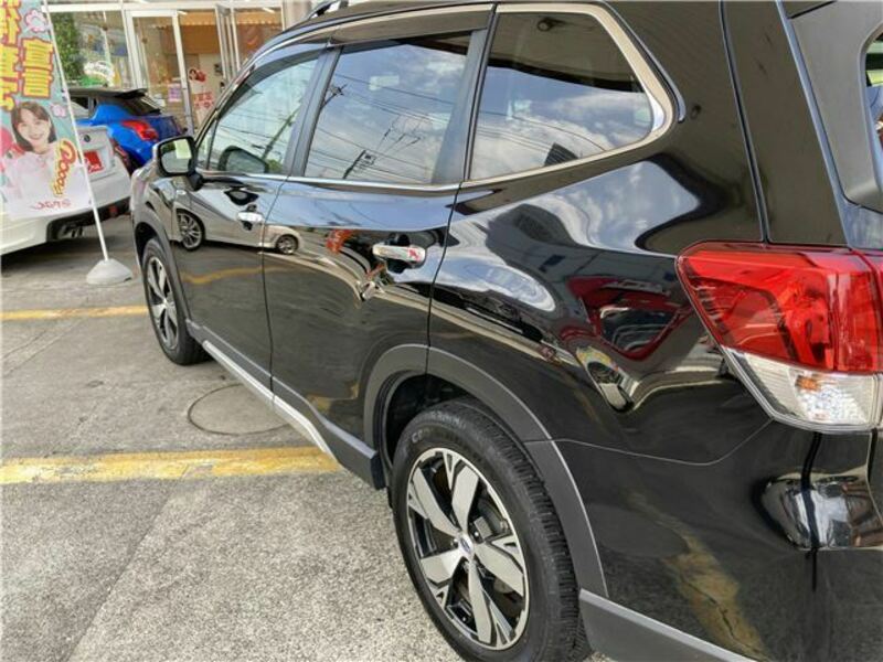 FORESTER-35