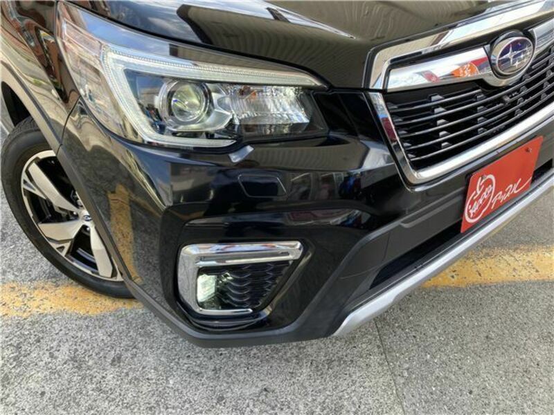 FORESTER-44