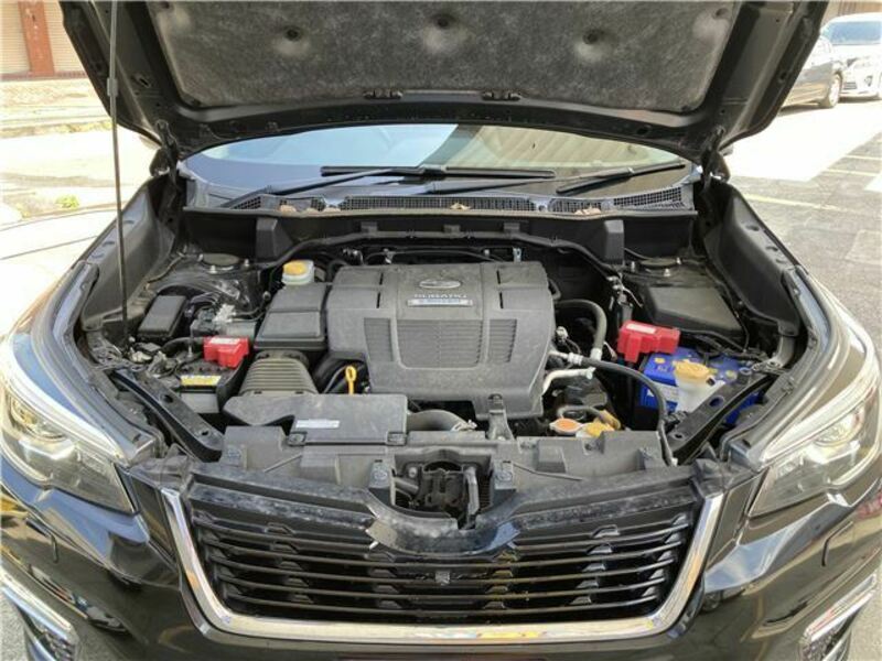 FORESTER-45