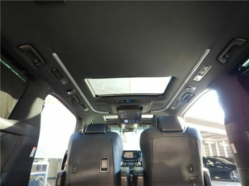 ALPHARD-39