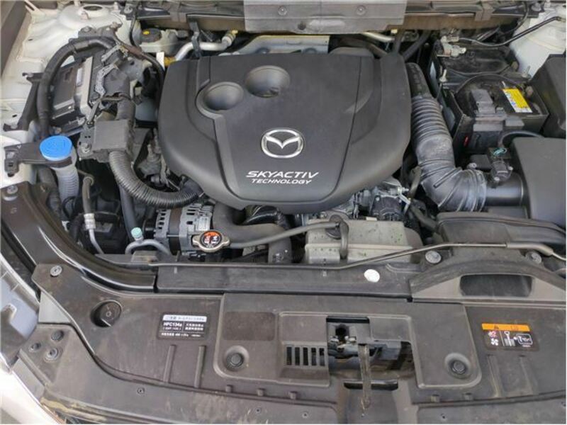 CX-5-41