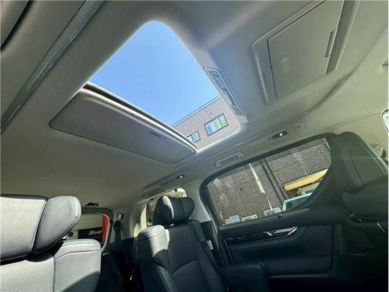 ALPHARD-6