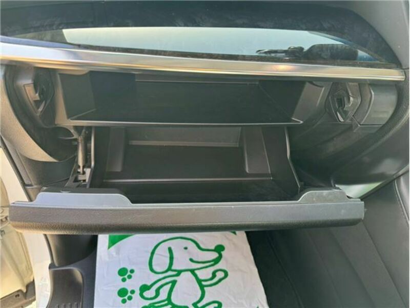 ALPHARD-10