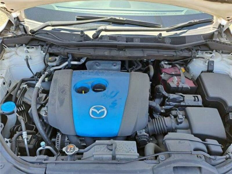 CX-5-19