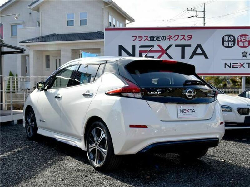 LEAF-20