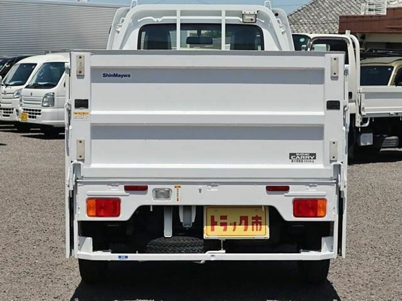 CARRY TRUCK-6