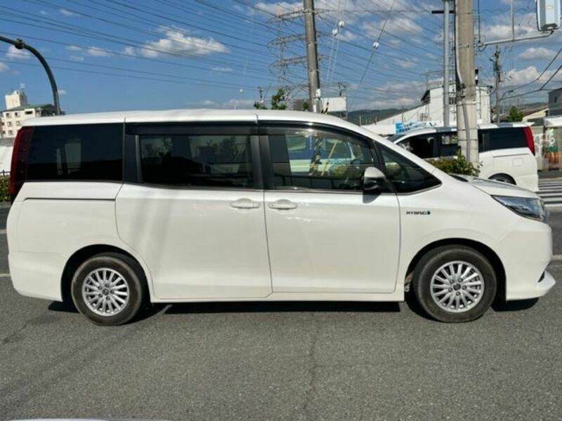 NOAH-28
