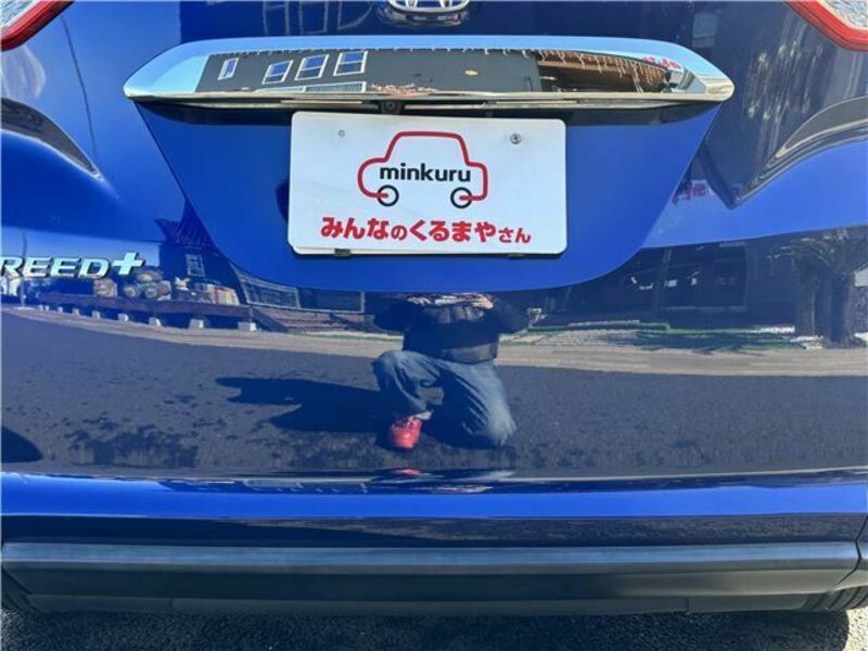FREED+