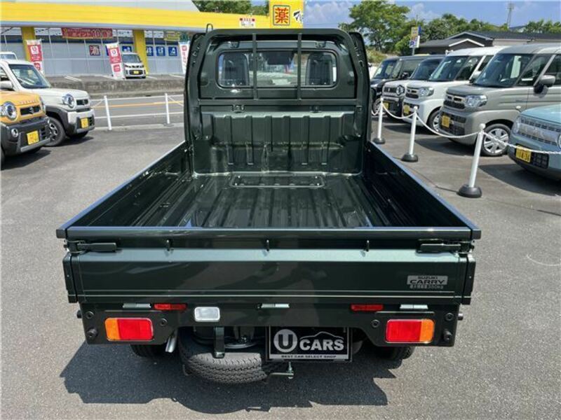 CARRY TRUCK-6