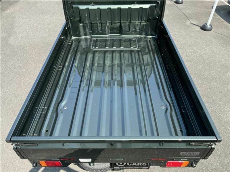 CARRY TRUCK-13