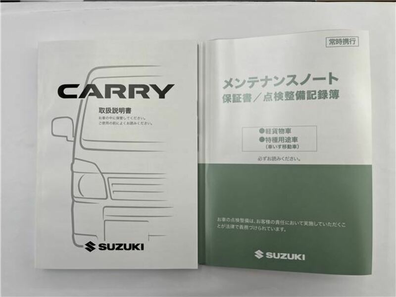CARRY TRUCK-45