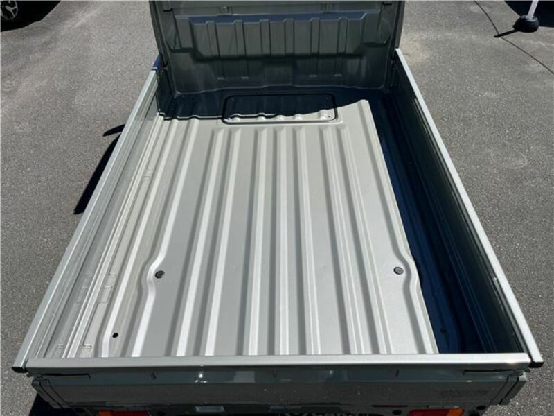 CARRY TRUCK-12