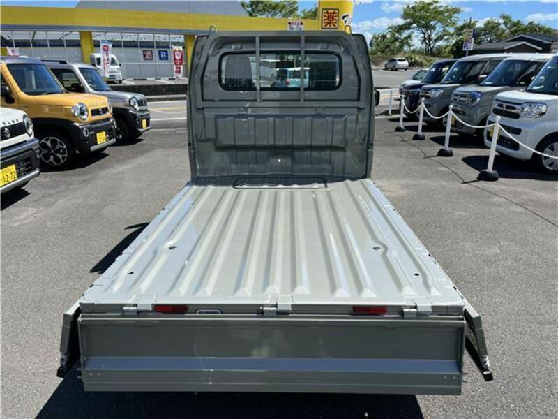CARRY TRUCK-13