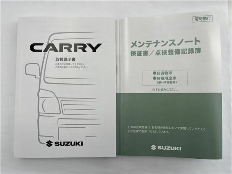 CARRY TRUCK-46