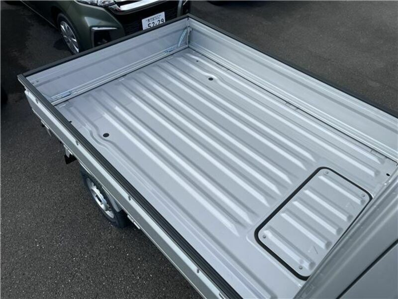 CARRY TRUCK-12