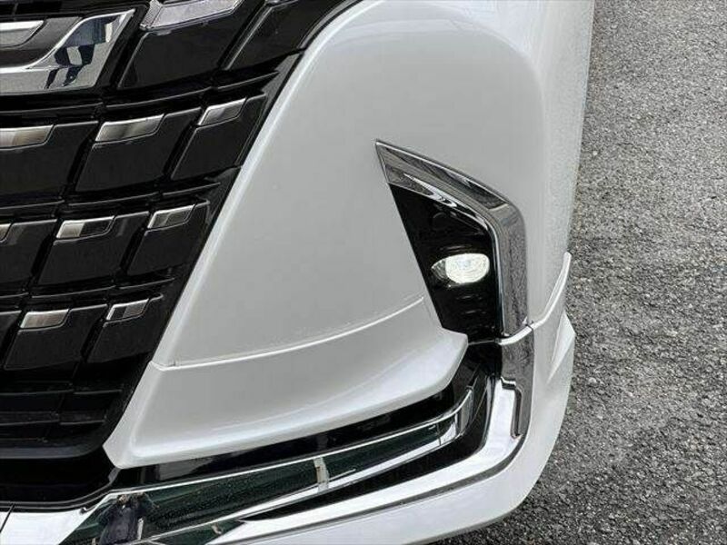 ALPHARD-10