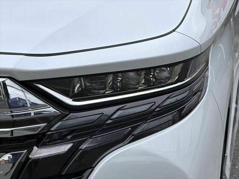 ALPHARD-19