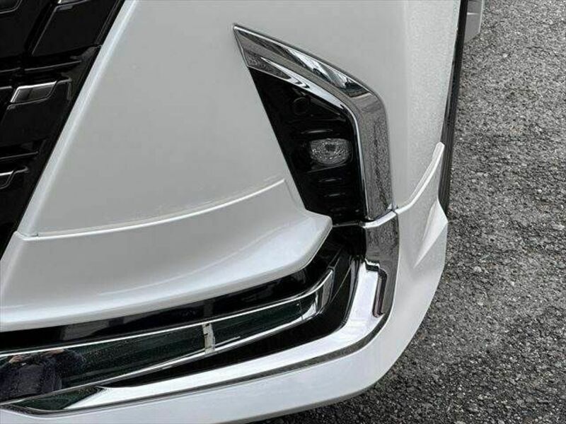 ALPHARD-21