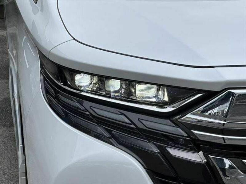 ALPHARD-28