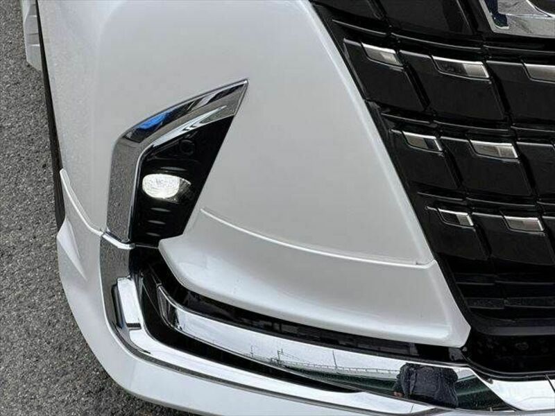 ALPHARD-29