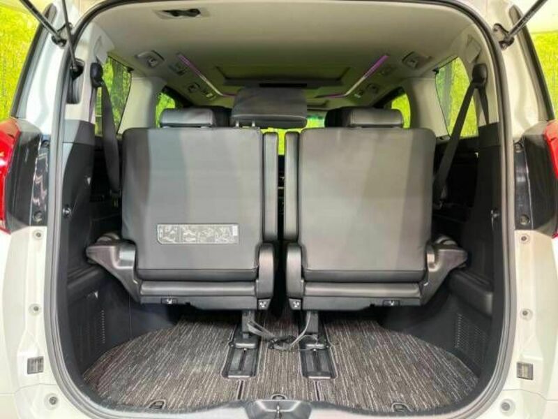 ALPHARD-10