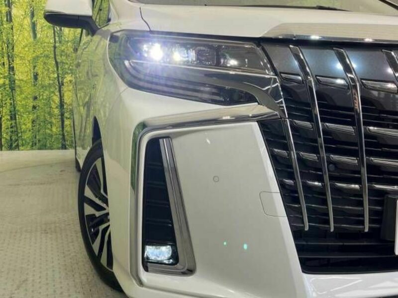 ALPHARD-11