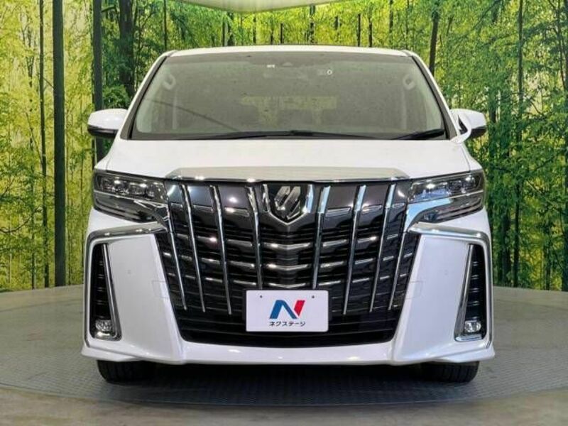 ALPHARD-13