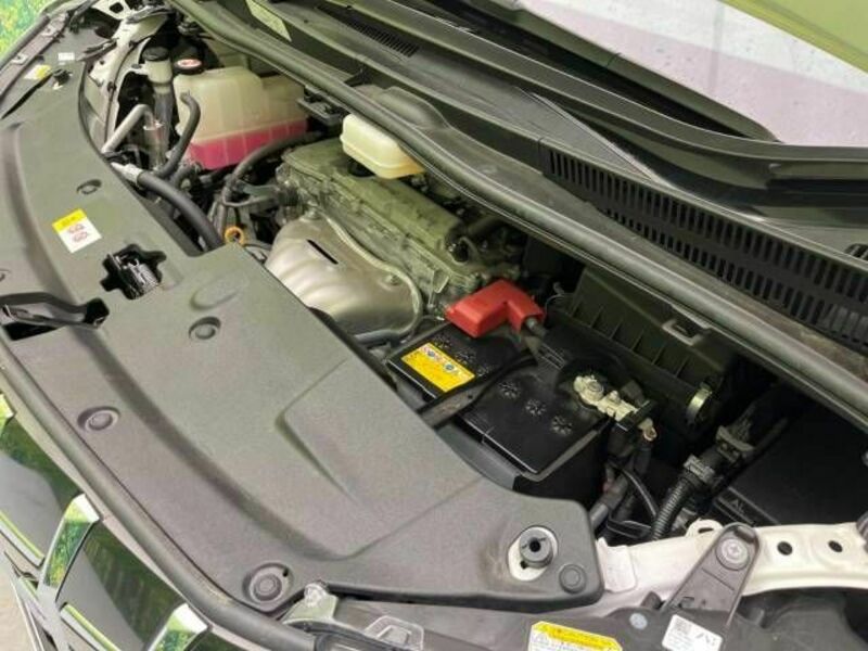 ALPHARD-17