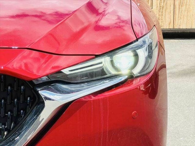 CX-8
