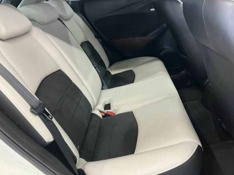 CX-3-8