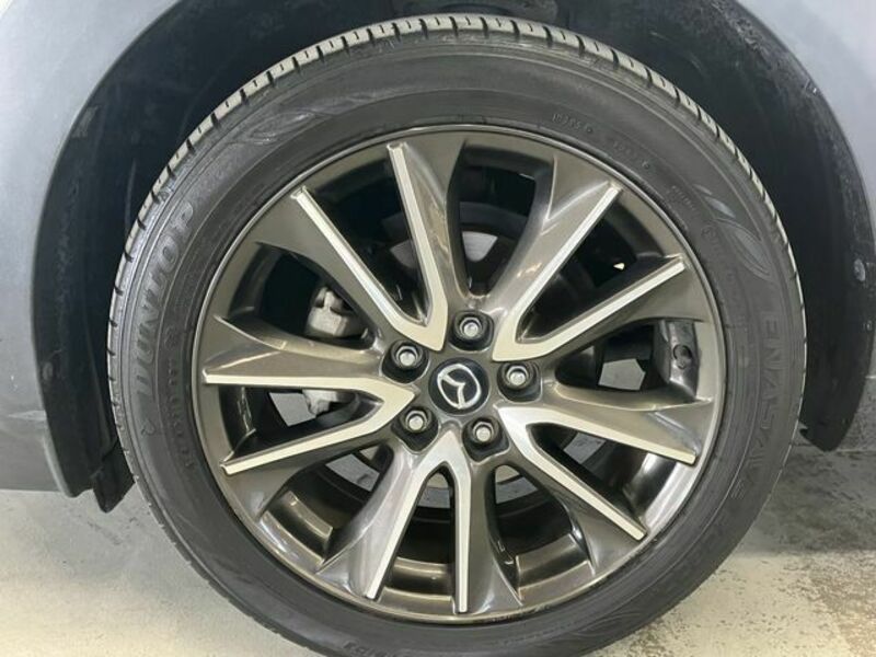 CX-3-17
