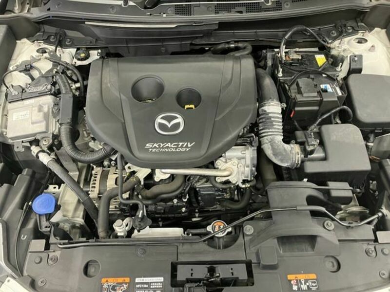 CX-3-19