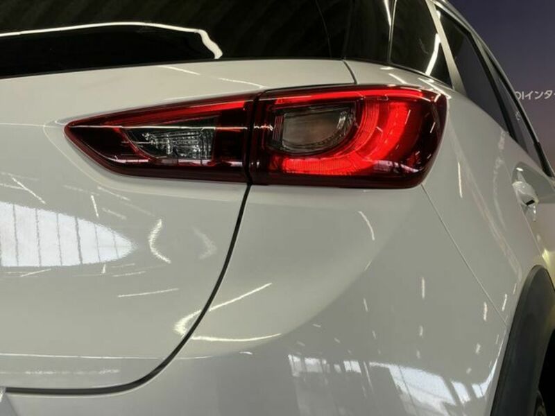 CX-3-21