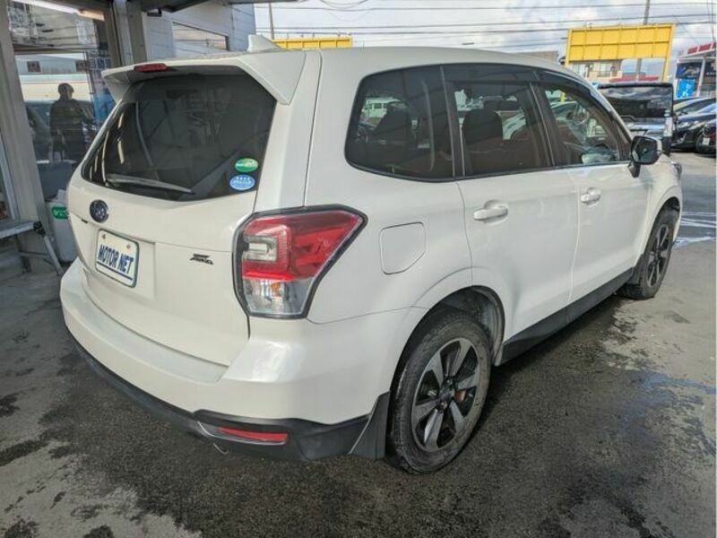 FORESTER-1