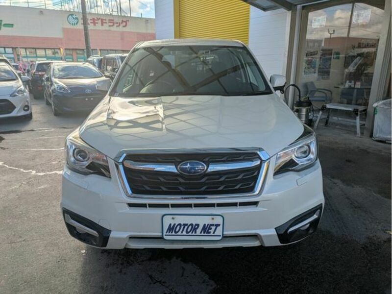 FORESTER-21