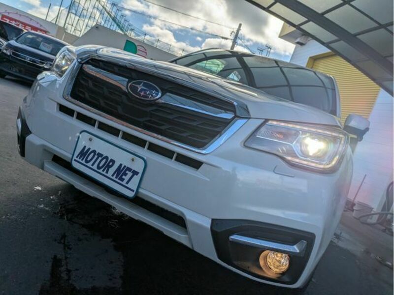FORESTER-22