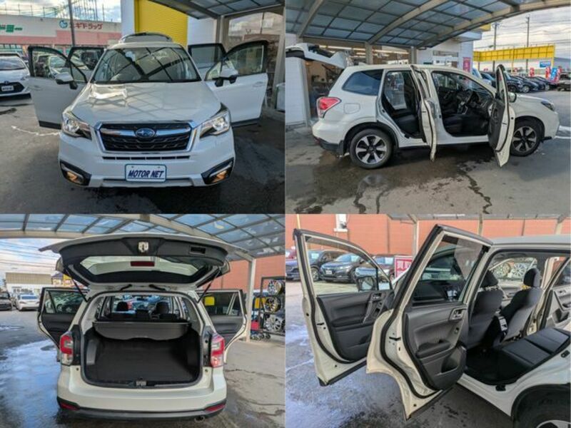 FORESTER-24