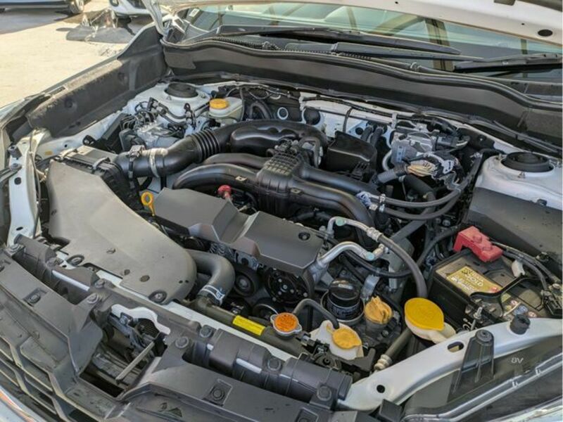 FORESTER-27