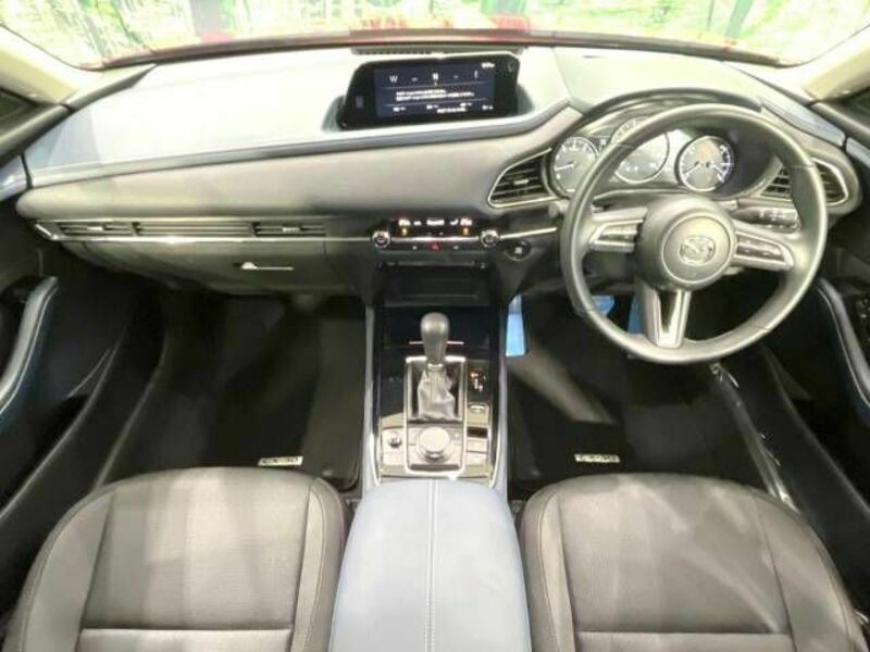 CX-30-1
