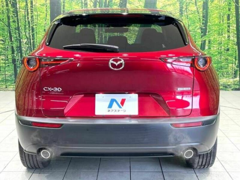 CX-30-15