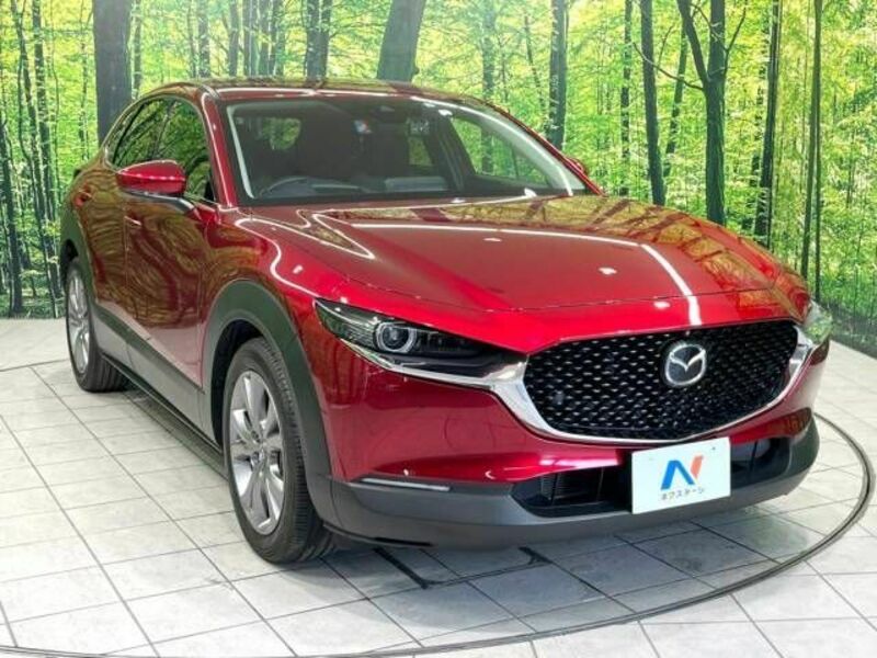 CX-30-16