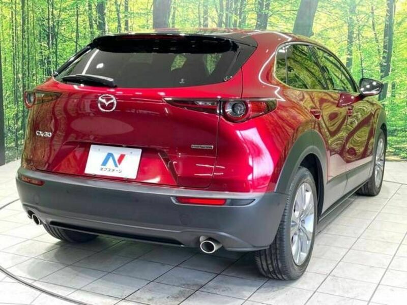 CX-30-17