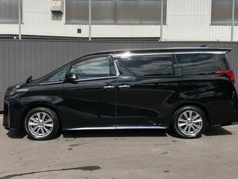 ALPHARD-8