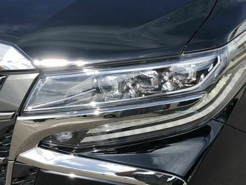 ALPHARD-21