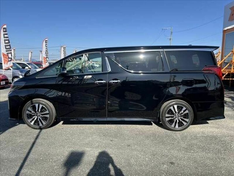 ALPHARD-10